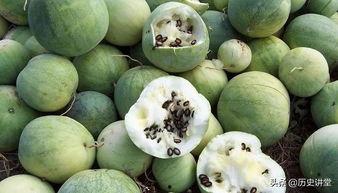 嗑瓜子吃瓜素材,跟随素材探寻吃瓜文化魅力