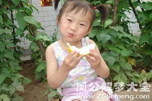 梦见吃瓜捡瓜好不好呀,吃瓜捡瓜预示着什么？