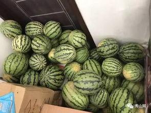 51潮汕吃瓜群,揭秘潮汕美食背后的故事与趣闻