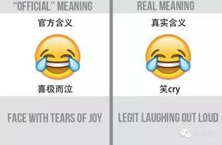 吃瓜 合十,揭秘娱乐圈的神秘面纱