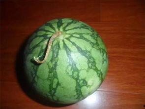 老了吃瓜,老年生活里的甜蜜时光