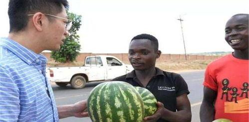 吃瓜国的人,揭秘人生百态的趣味观察