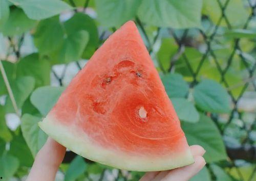 ubb边界雪吃瓜,探寻神秘雪乡的瓜果飘香