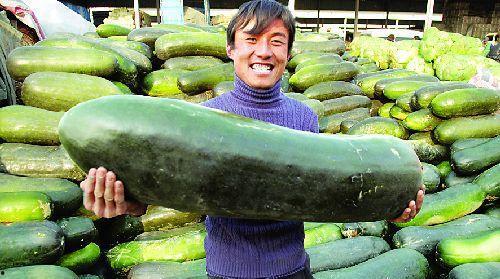 吃内脏那个瓜,一场关于健康与美味的争议之旅