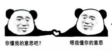 吃瓜聊天领红包,吃瓜聊天领红包，畅享夏日欢乐时光