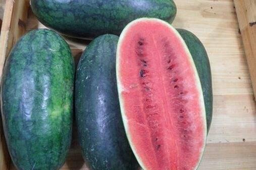 真正的吃瓜,一场真实的“吃瓜”盛宴