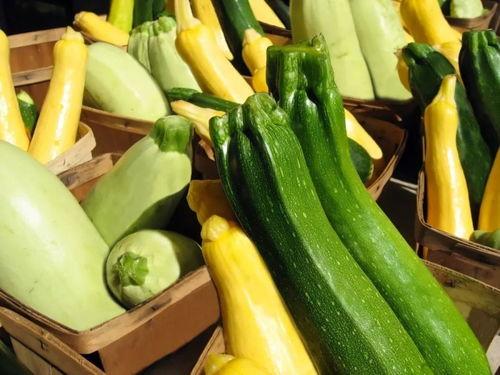 带你吃瓜教程,瓜界达人带你吃瓜教程全解析