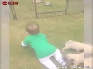 盘点那些吃瓜场景,盘点那些令人捧腹的吃瓜瞬间