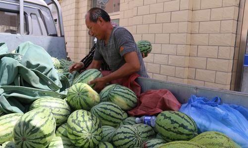 巴彦吃瓜团,揭秘网络热点的幕后故事