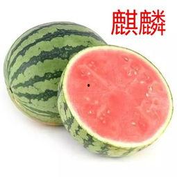 吃瓜无水印,揭秘吃瓜群众的无水印生活