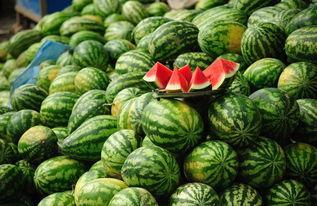 万达吃瓜西板吃瓜