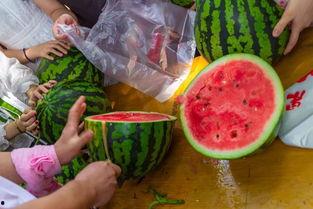 好看视频吃瓜,吃瓜群众的狂欢盛宴