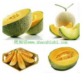 胃病吃哈密瓜,哈密瓜与胃病的小秘密