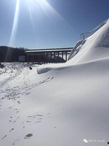 大连滑雪吃瓜,冬日里的吃瓜盛宴