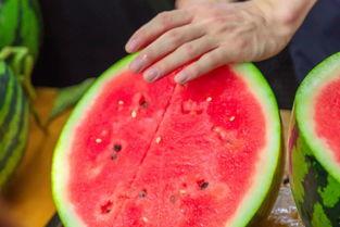 圣翰学校吃瓜,揭秘校园里的“瓜田”风云