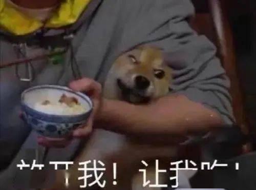 带你吃瓜解忧大队,揭秘娱乐圈那些事儿