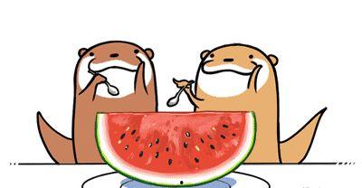 吃瓜不打烊图文,揭秘娱乐圈幕后故事