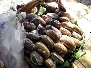 贵阳吃瓜曝光,揭秘网络热议背后的真相与反思