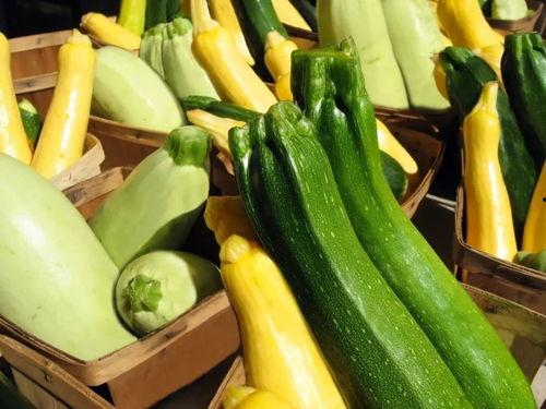 广中医吃瓜,一场别开生面的“吃瓜”盛宴