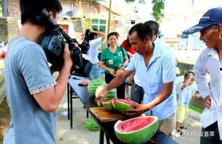霍州吃瓜群众,吃瓜群众的欢乐时光