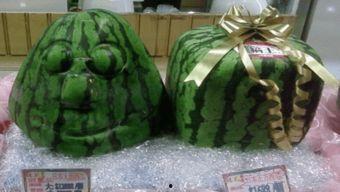 豆豆吃瓜西瓜,一场甜蜜的夏日邂逅