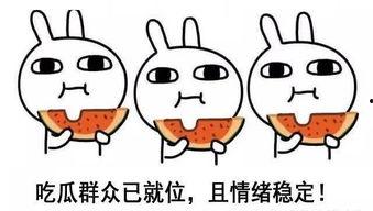 吃瓜不忘阿瓜人是什么意思