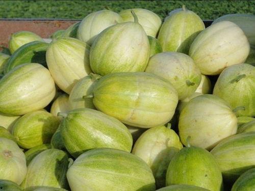 怎么吃最甜的瓜,揭秘怎么吃最甜的瓜