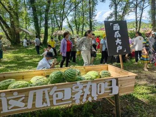 林77空港吃瓜,揭秘网红机场的吃瓜盛况