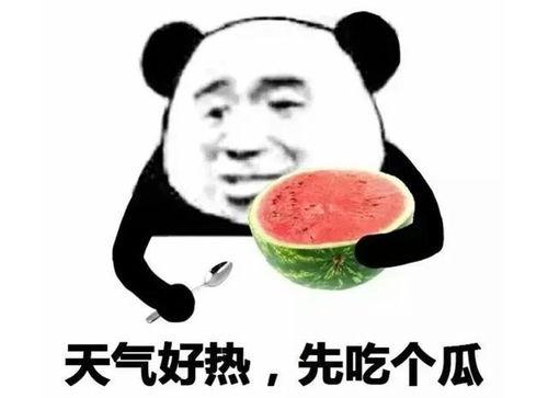 吃瓜表情怎么使用