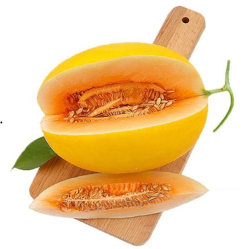 婆婆吃蜜瓜视频,温馨家庭生活瞬间
