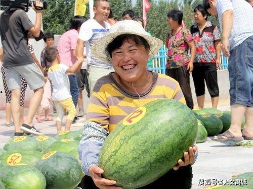 寻找吃瓜王,探寻吃瓜王背后的故事