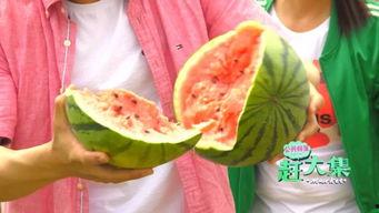 寻找吃瓜王,探寻吃瓜王背后的故事