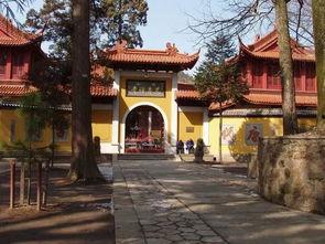 径山寺吃瓜,一场禅意与甘甜的邂逅