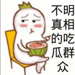 吃瓜盟主含义,网络热词背后的文化现象与社交趋势