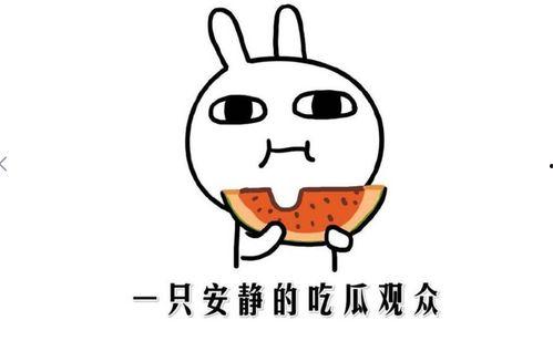 吃瓜盟主含义,网络热词背后的文化现象与社交趋势