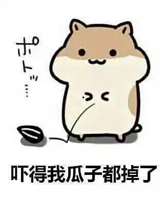 吃瓜言论,围观背后的社会心理与舆论场