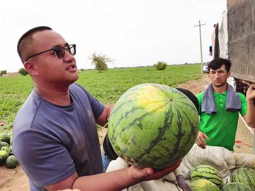 吃瓜曲靖,揭秘当地美食与趣闻