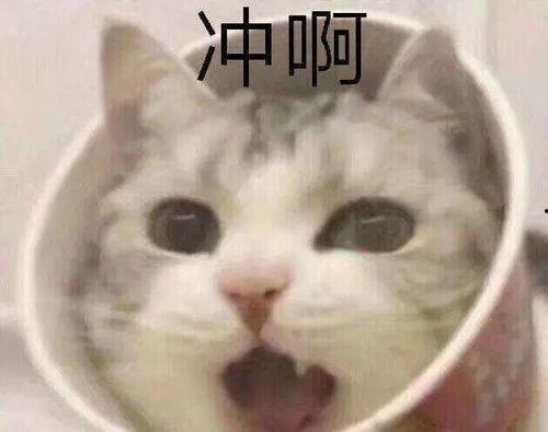 吃土瓜文案,一场味蕾与自然的邂逅