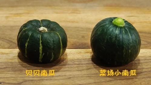 圆形吃瓜