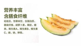 哈密瓜节吃瓜比赛