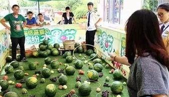 哈密瓜节吃瓜比赛